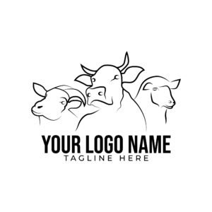 All In One Monthly SEO Service