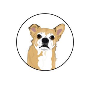 Animal Logo Ideas