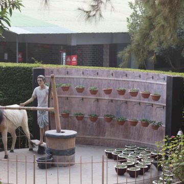 Traditional Bullock Oil Mill Scene