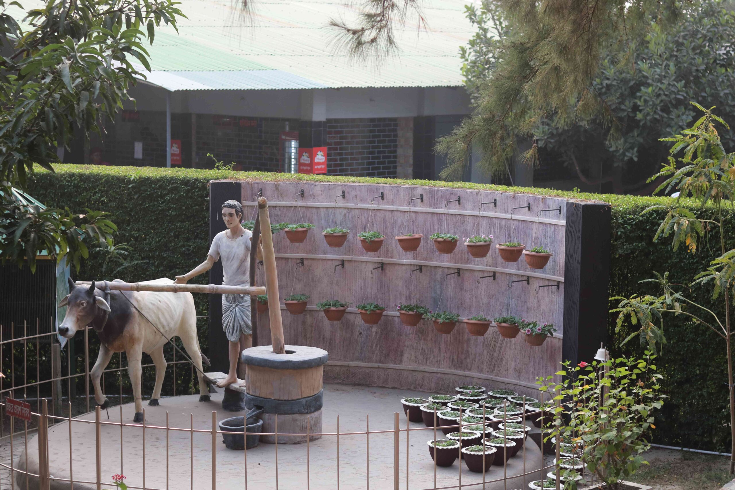 Traditional Bullock Oil Mill Scene