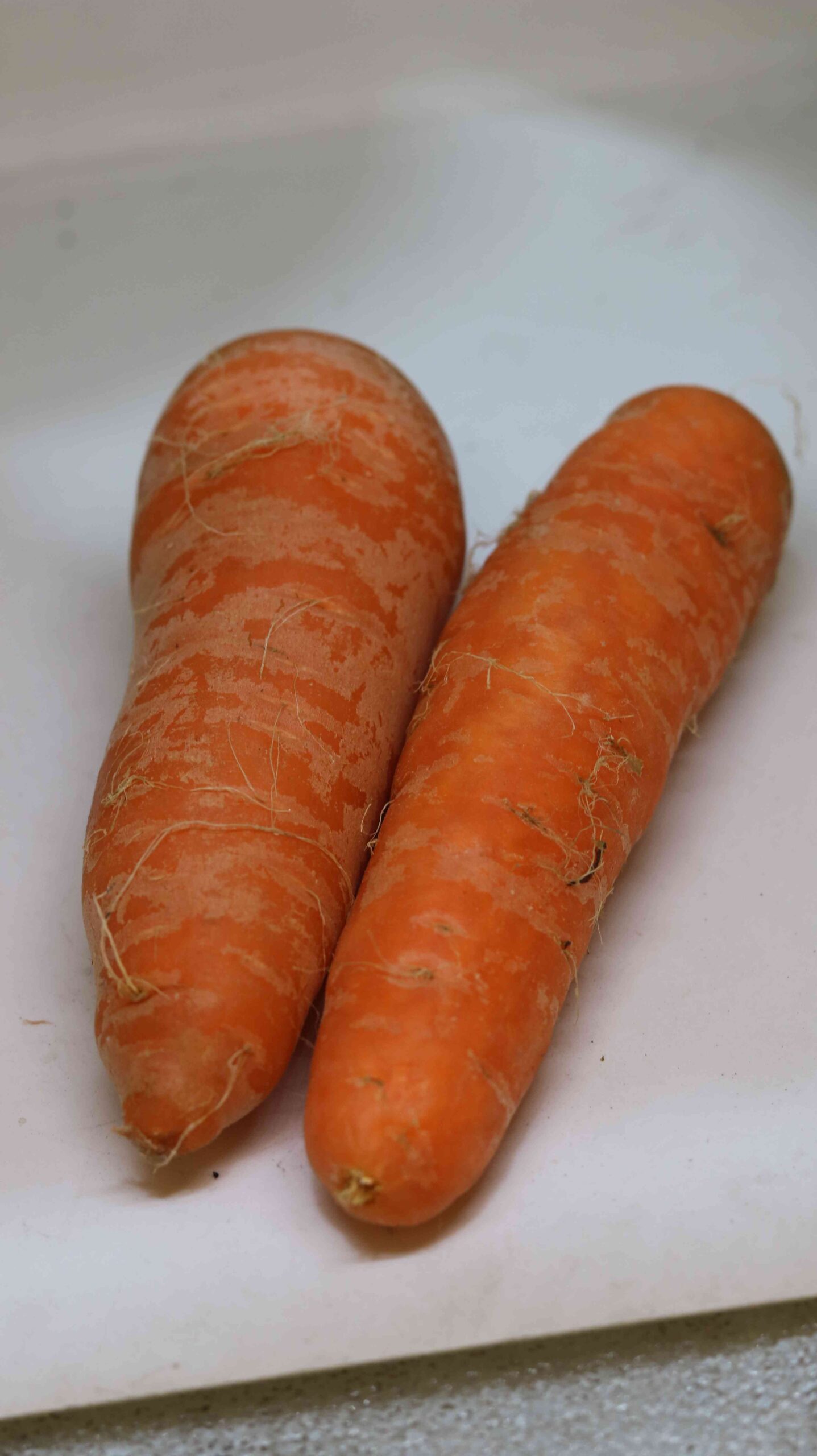 Fresh Carrot Harvest From Farm To Kitchen
