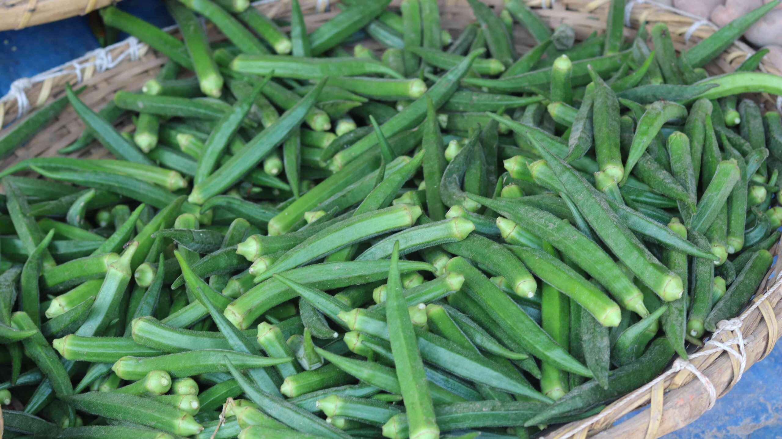 Fresh Okra Harvest From Farm To Kitchen