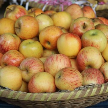 Fresh Apple Harvest From Orchard To Table