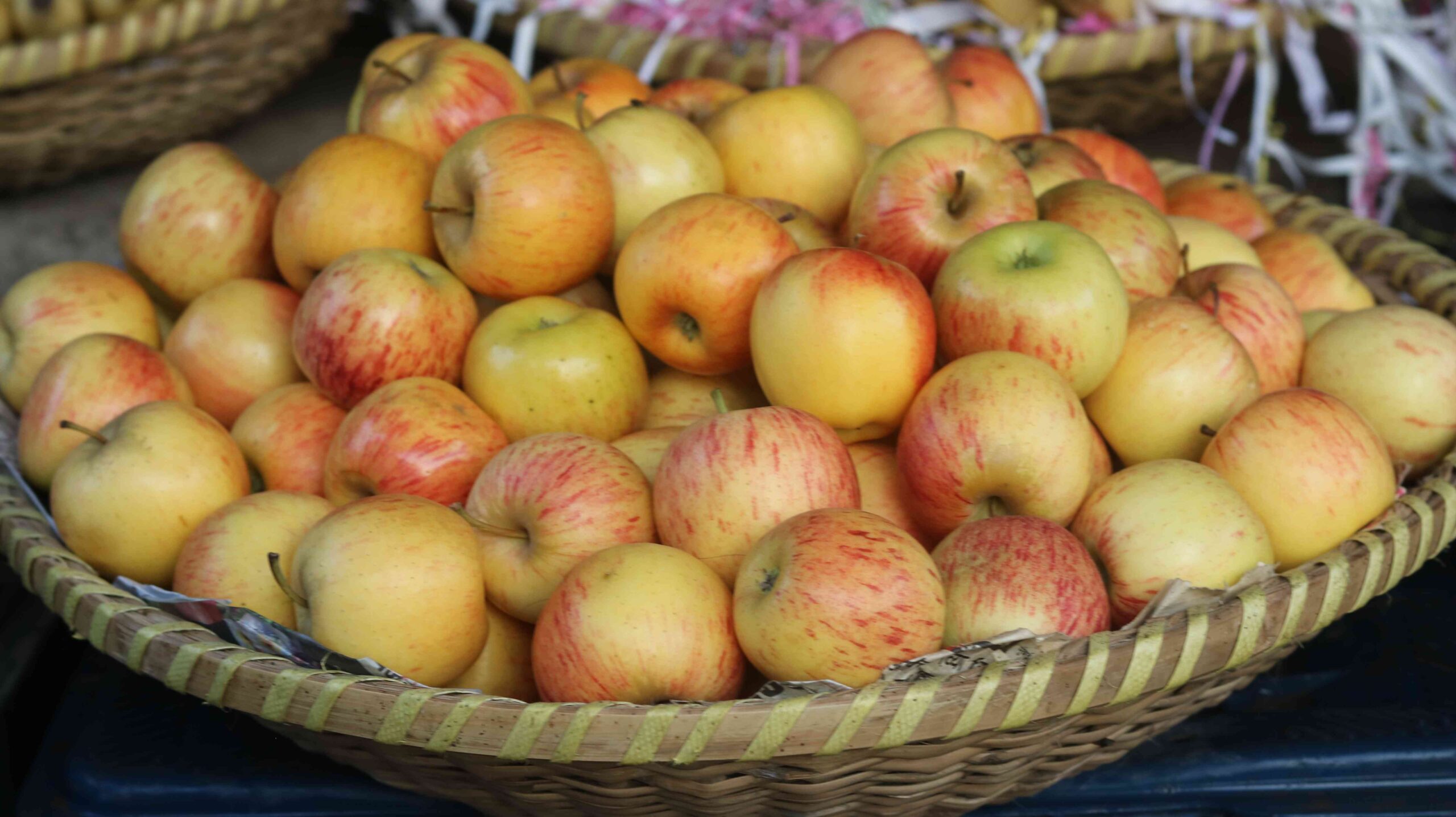 Fresh Apple Harvest From Orchard To Table