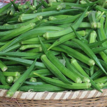 Okra Harvest From Farm To Kitchen
