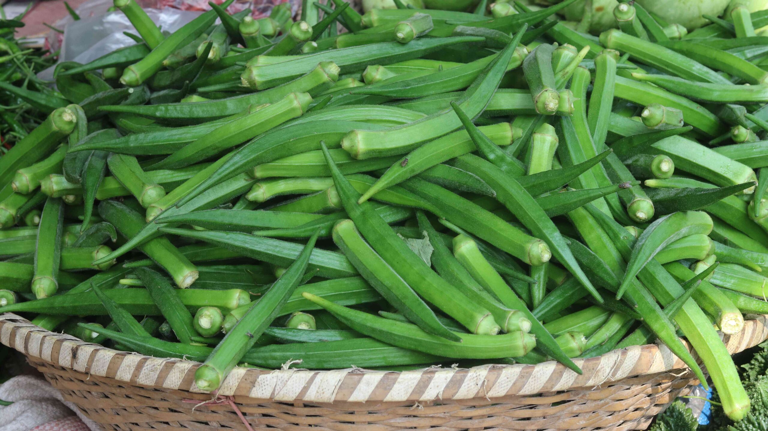 Okra Harvest From Farm To Kitchen